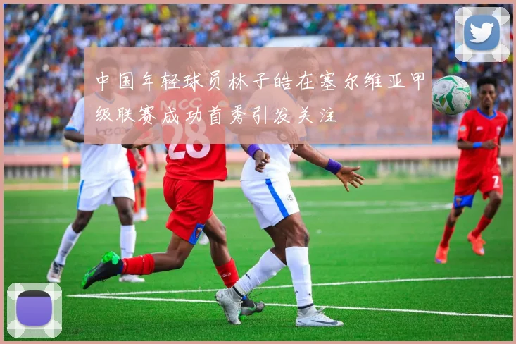 中国年轻球员林子皓在塞尔维亚甲级联赛成功首秀引发关注