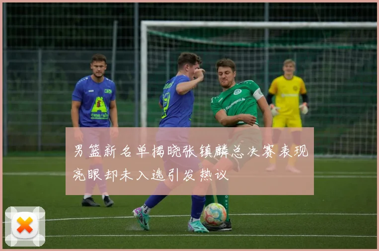 男篮新名单揭晓张镇麟总决赛表现亮眼却未入选引发热议